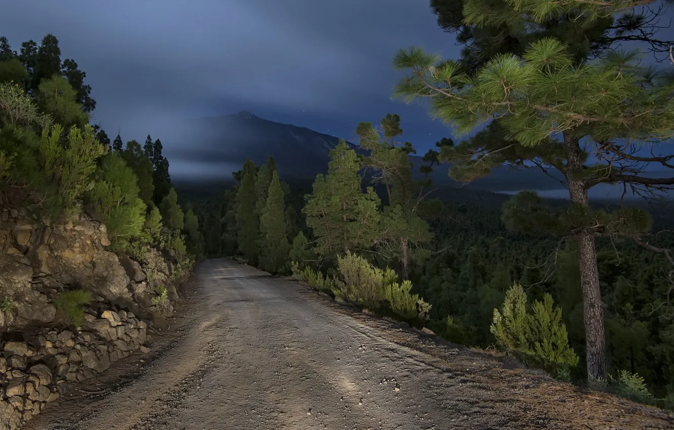 Фото обои дорога, горы, ночь