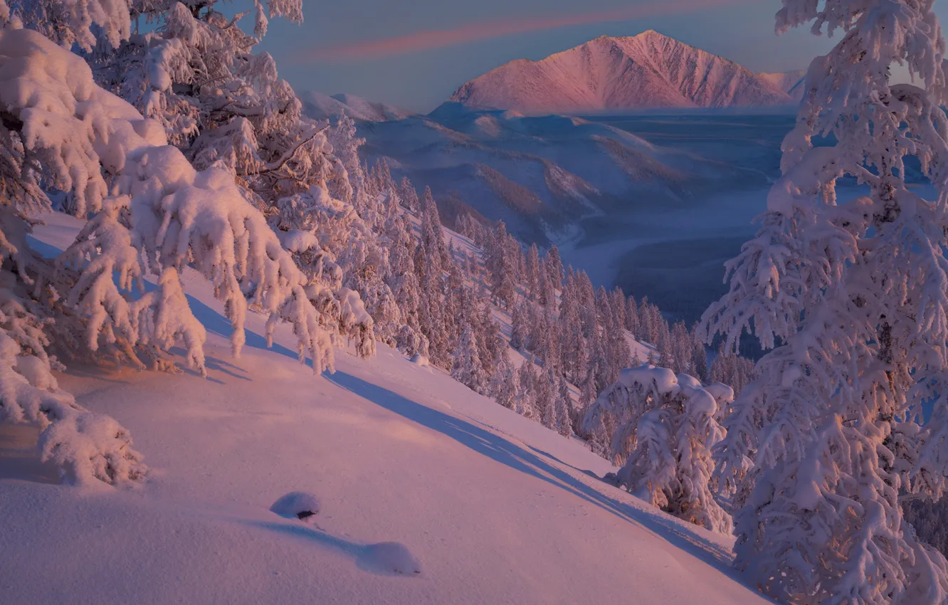 Фото обои зима, снег, деревья, горы, сугробы, Россия, Якутия, Владимир Рябков