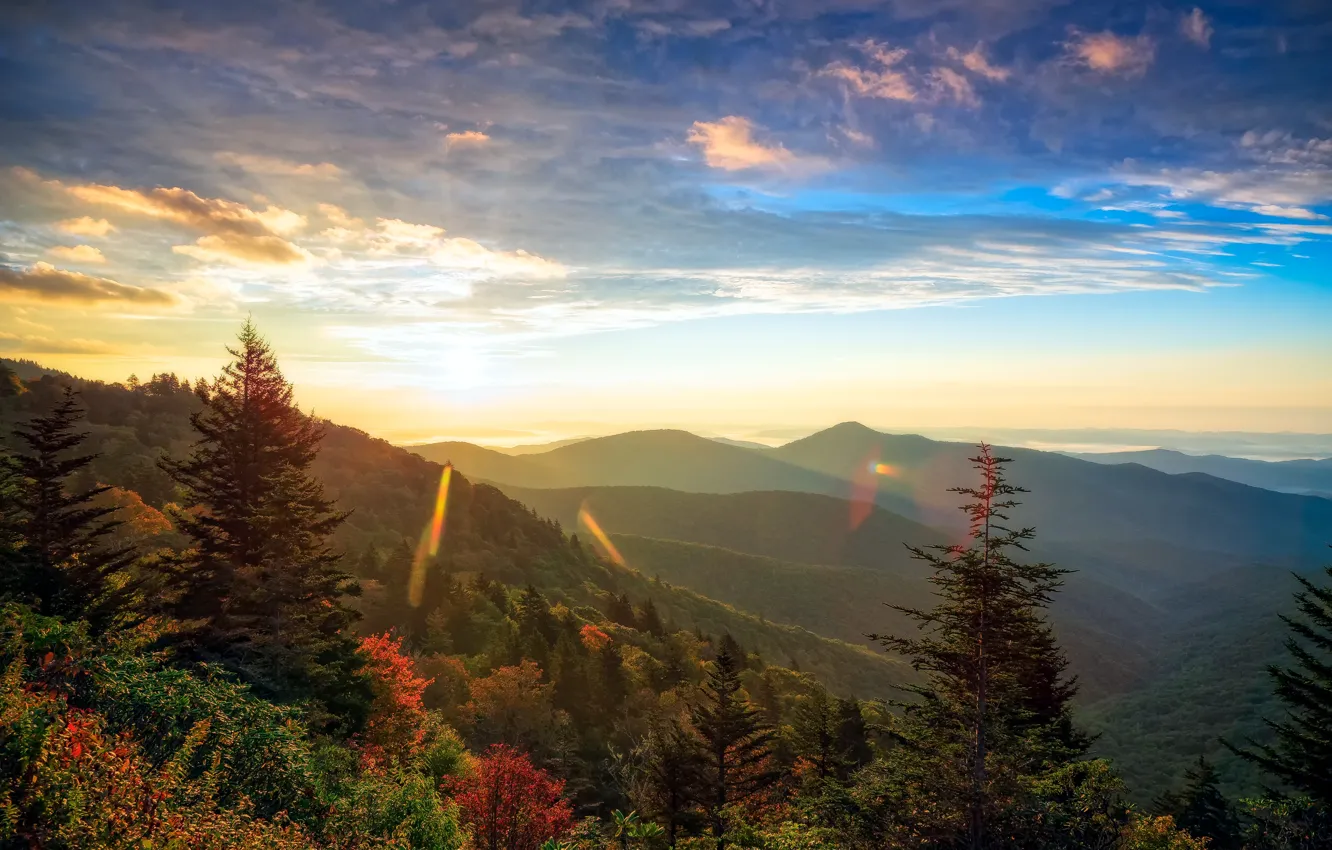 Фото обои лес, небо, солнце, облака, деревья, горы, панорама, США