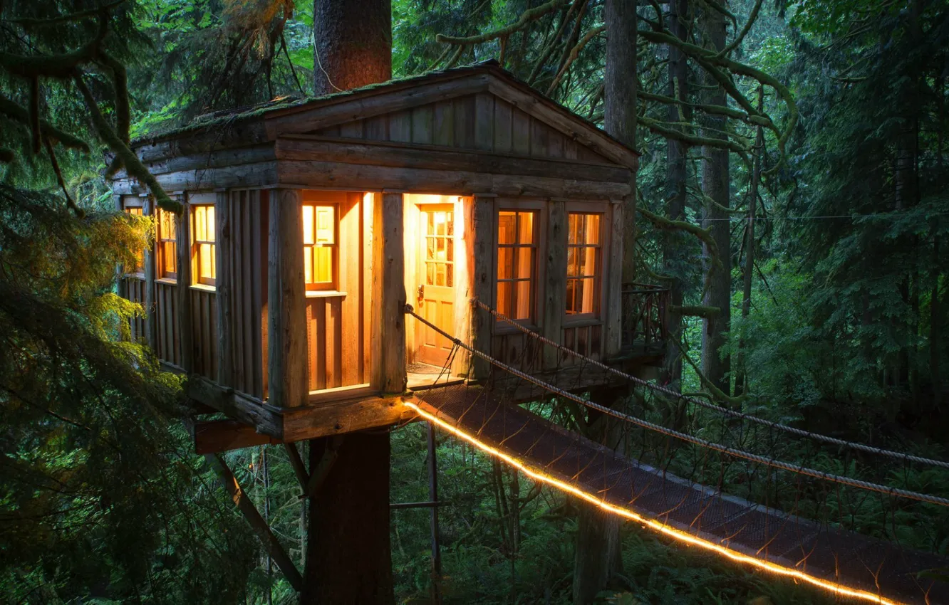 Фото обои лес, дом, Treehouse Point, США Уникальные отели на деревьях