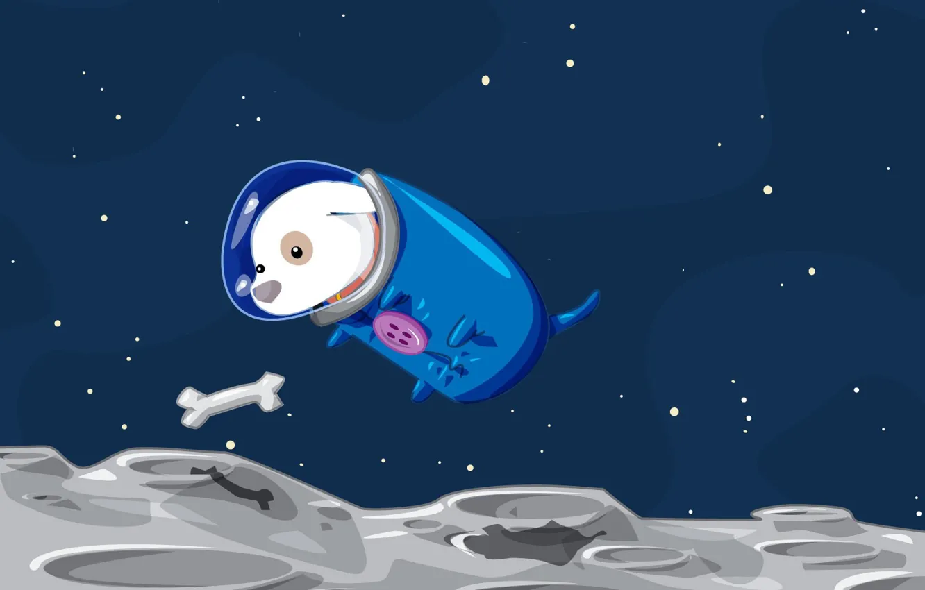 Фото обои космос, собака, Вектор