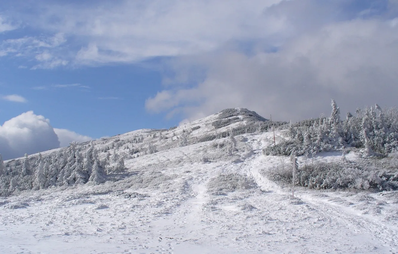 Фото обои зима, снег, природа, фото, гора, Польша