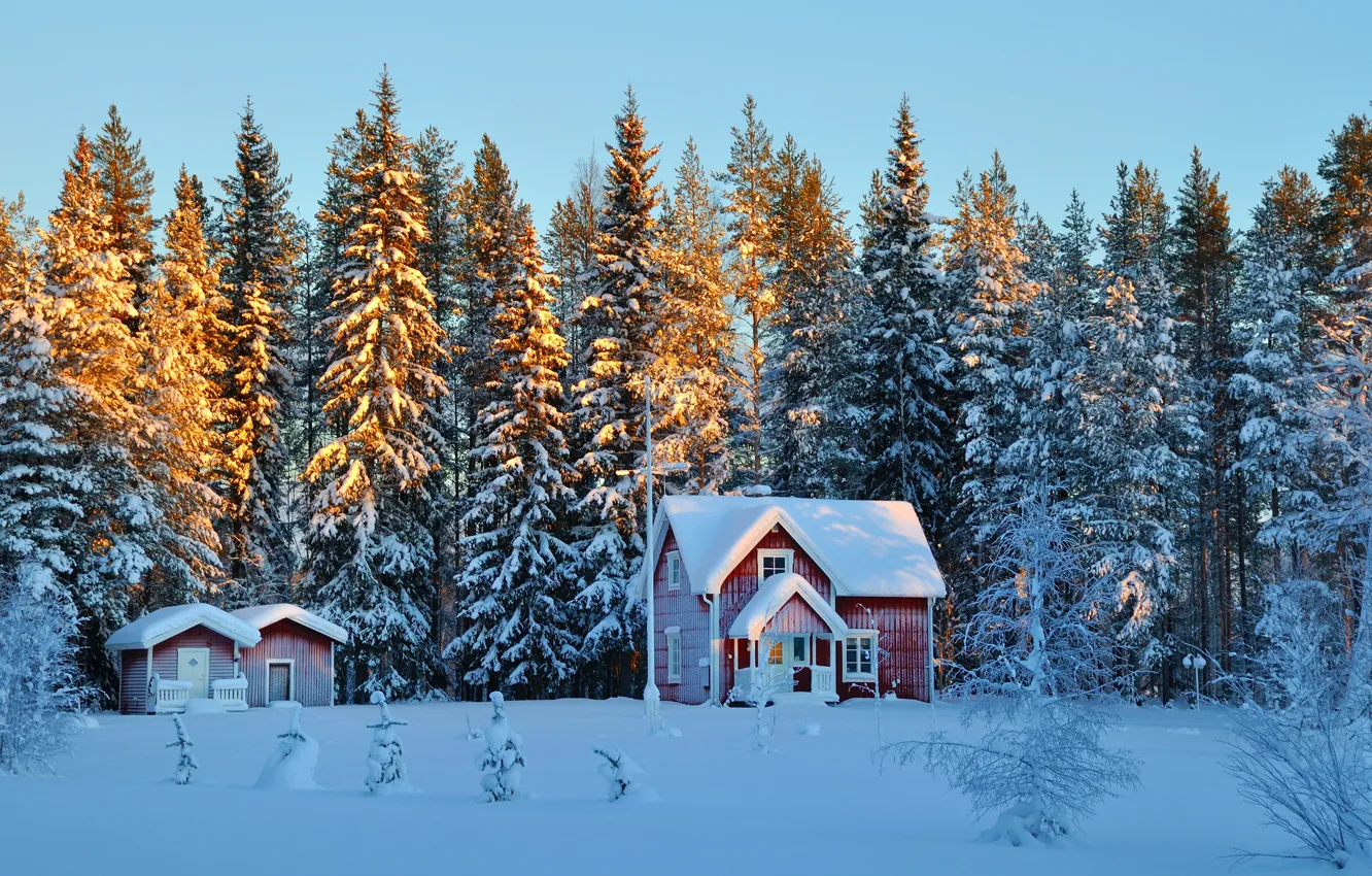 Фото обои зима, снег, деревья, елки, домики