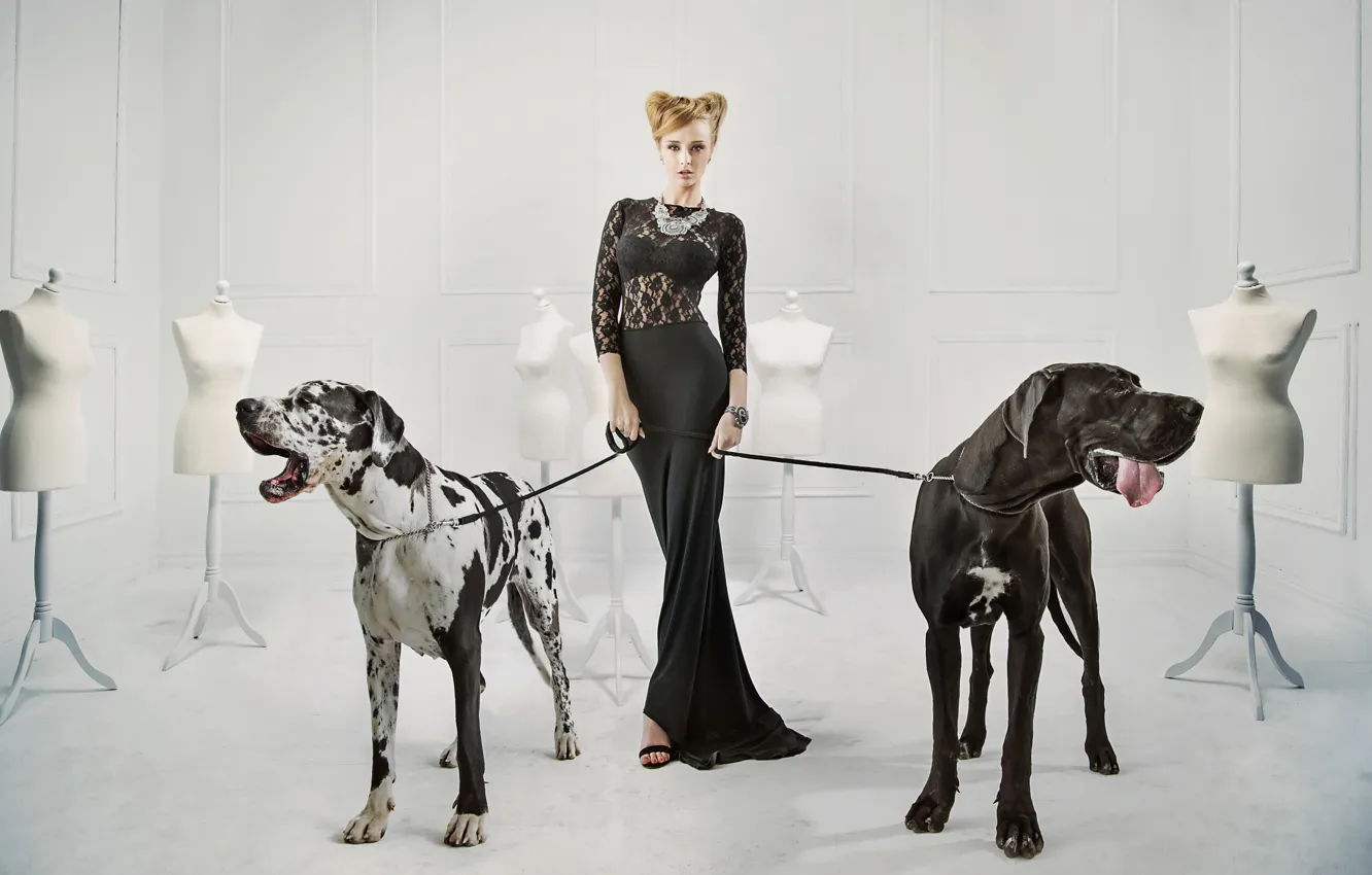 Фото обои собаки, девушка, украшения, поза, ожерелье, макияж, фигура, платье
