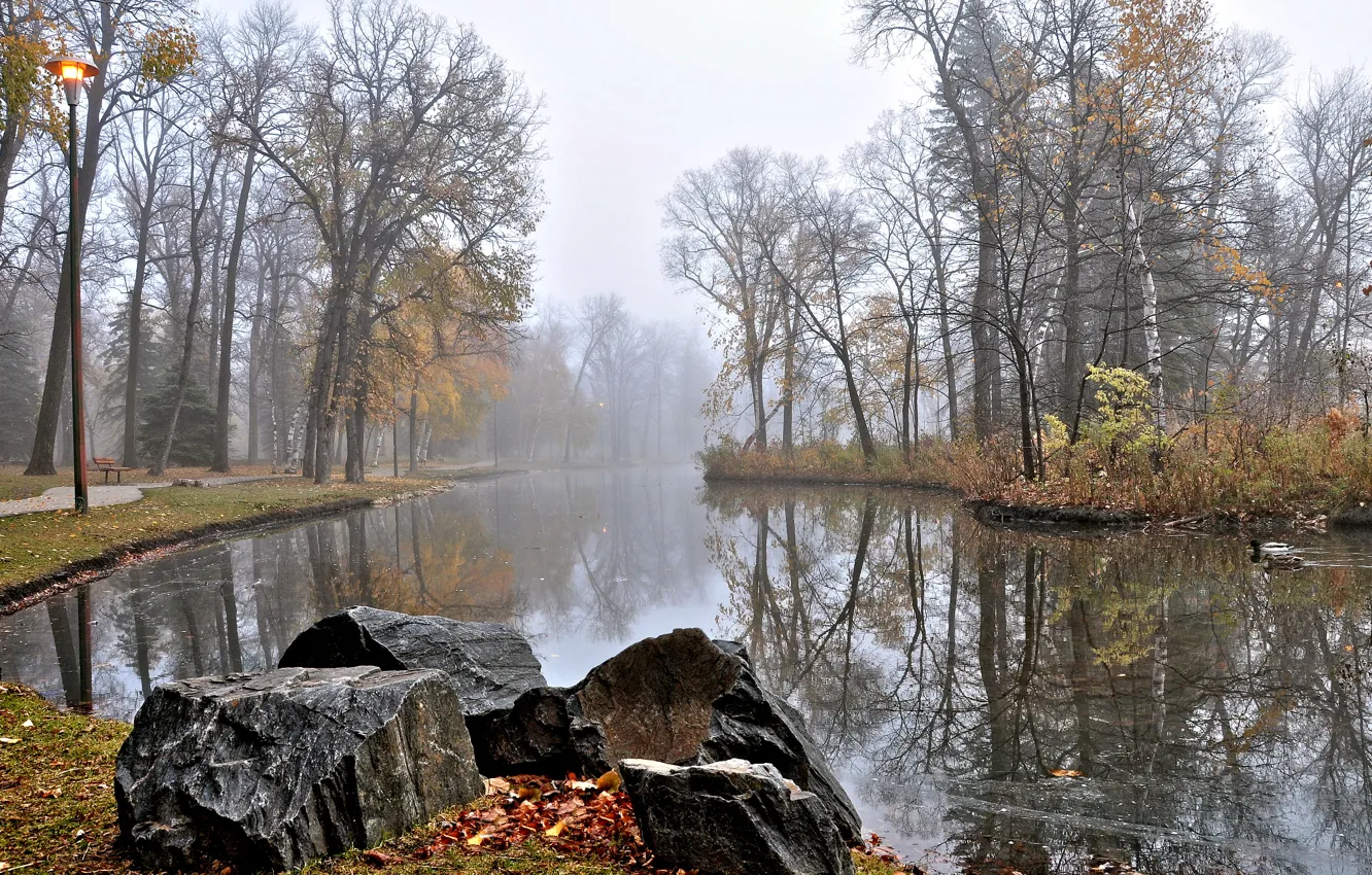 Фото обои trees, water, Park, lake, rocks, bench, ducks