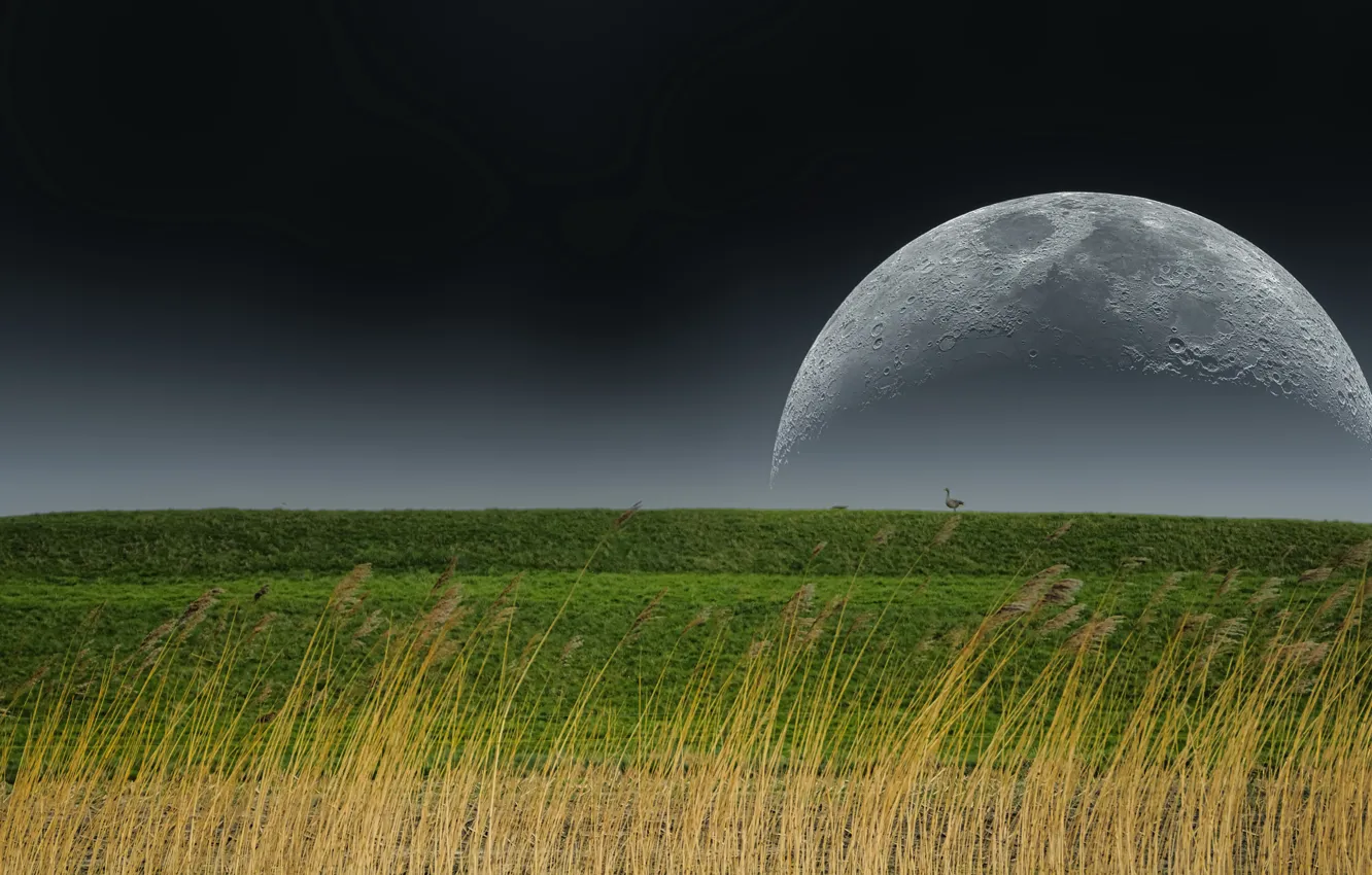 Фото обои природа, земля, луна