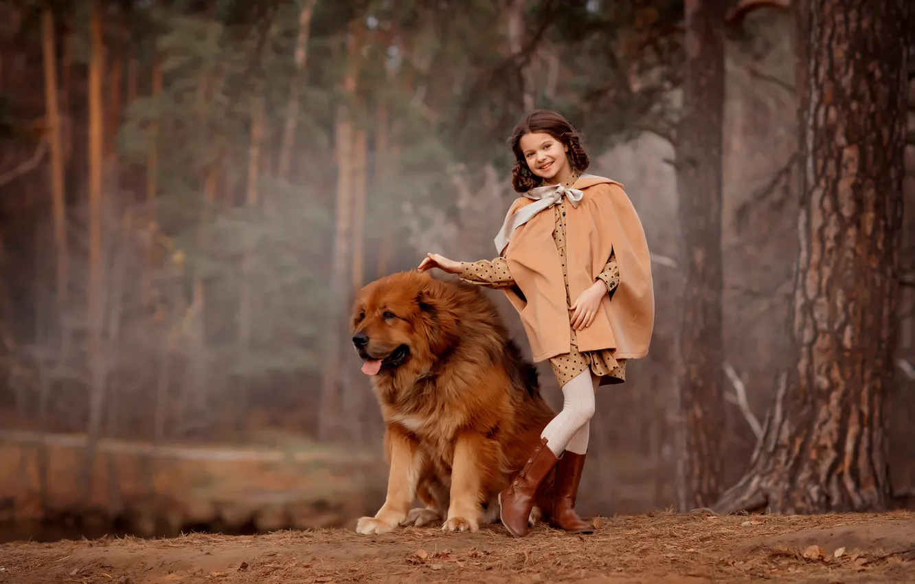 Фото обои лес, собака, девочка, прогулка, друзья, пёс, тибетский мастиф, Валентина Ермилова