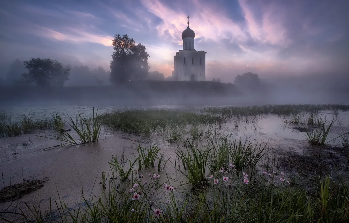 Фото обои осень, трава, пейзаж, природа, туман, река, рассвет, утро