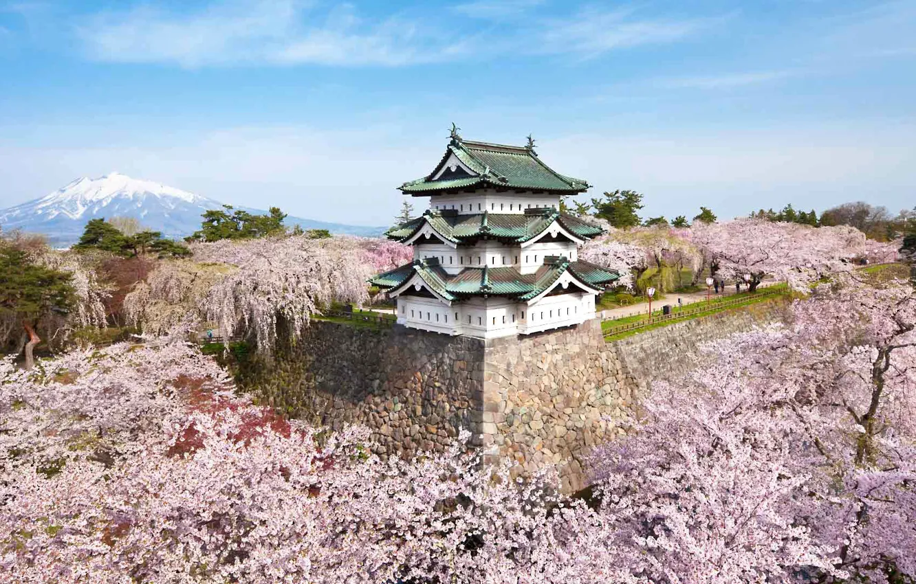 Фото обои замок, гора, весна, Япония, сакура, цветение, Хиросаки, префектура Аомори