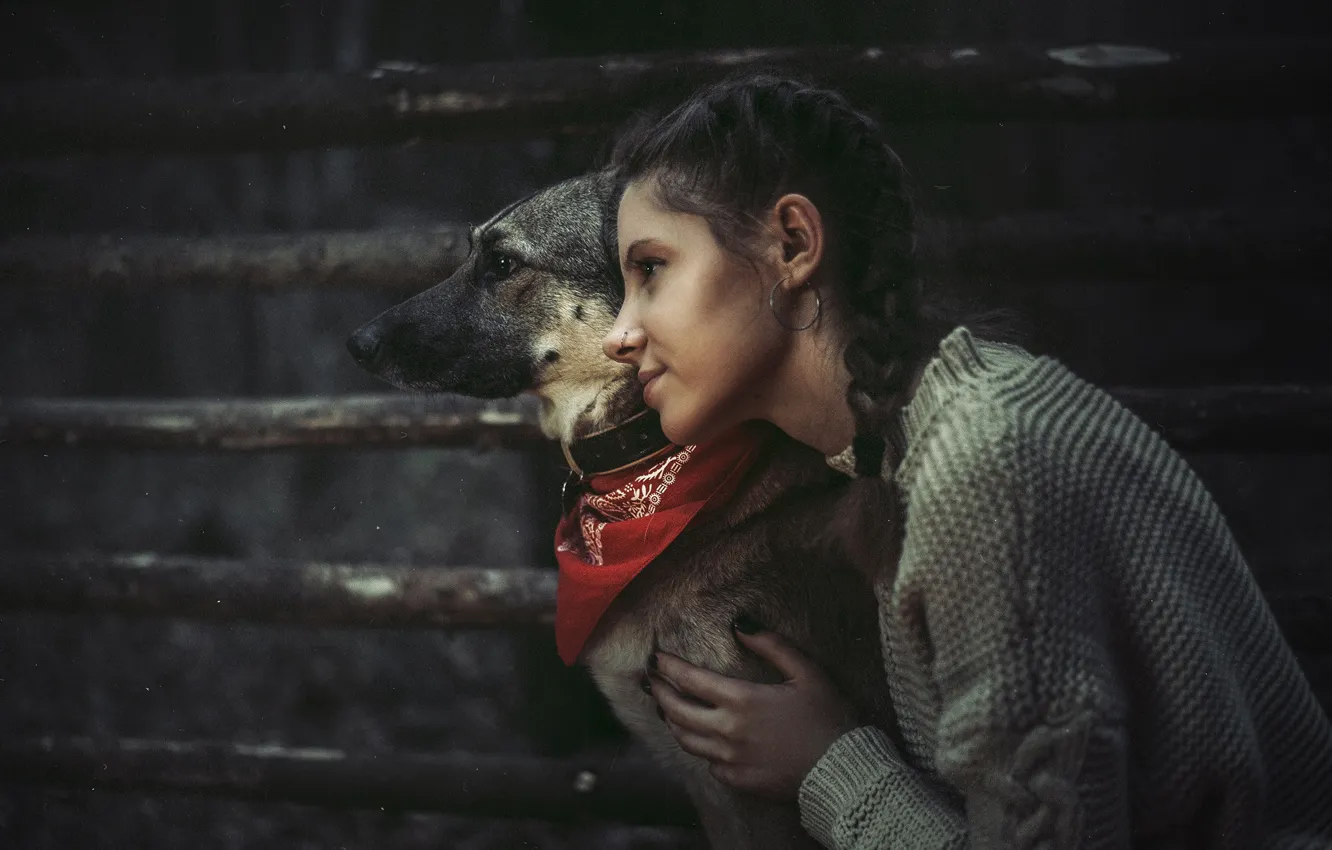 Фото обои собака, дружба, девочка, друзья, Илья Цымбал