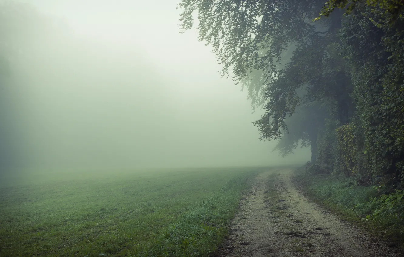 Фото обои дорога, поле, природа, туман, утро