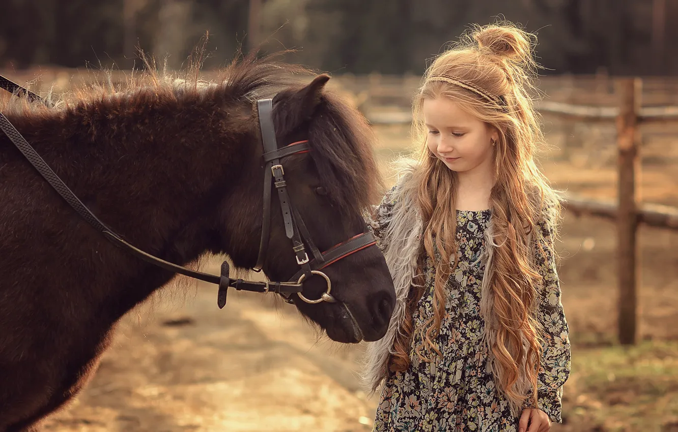 Фото обои животное, девочка, пони, ребёнок, Виктория Дубровская