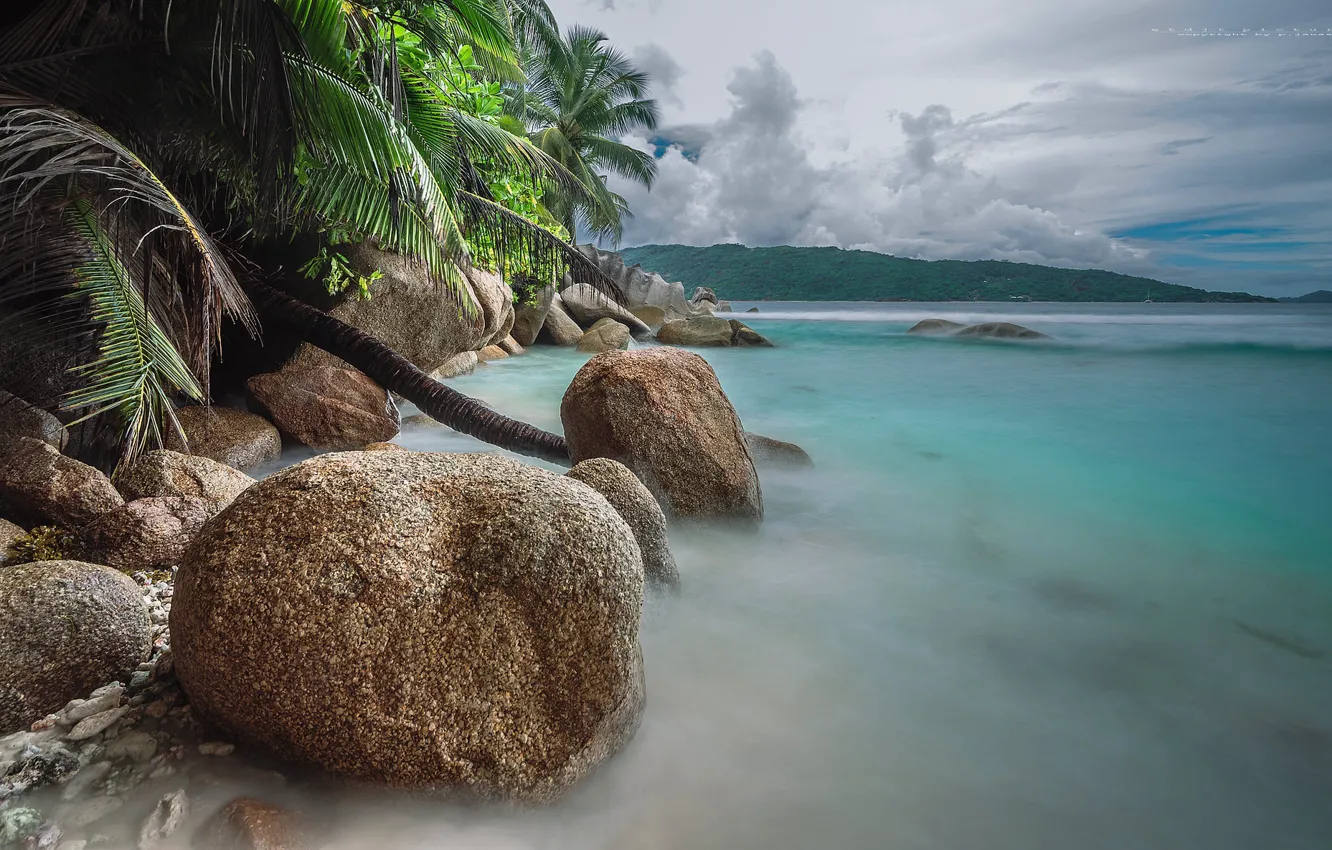 Фото обои море, пальмы, побережье, камень
