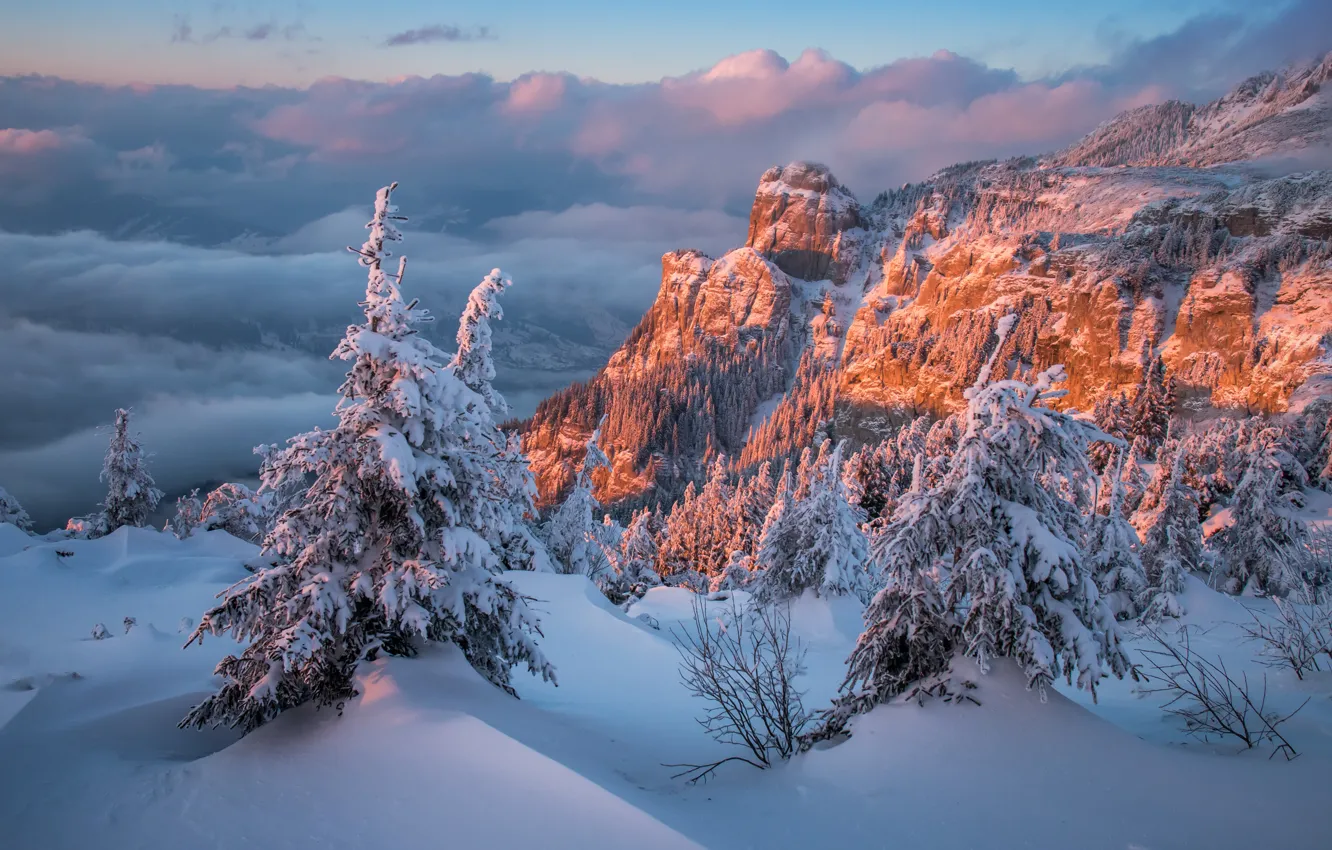 Фото обои зима, облака, снег, деревья, пейзаж, закат, горы, природа