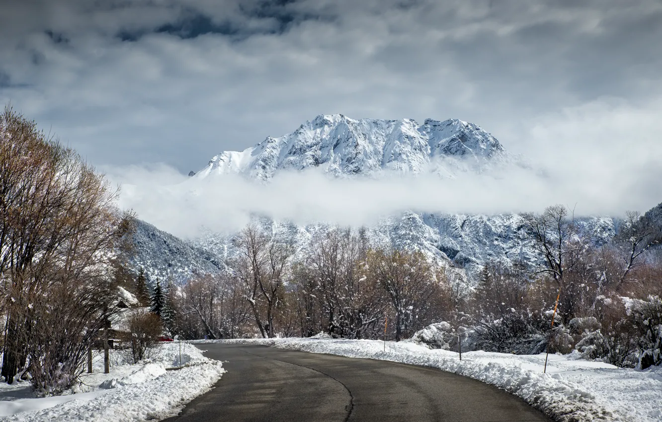 Фото обои зима, снег, деревья, пейзаж, горы, road, trees, landscape