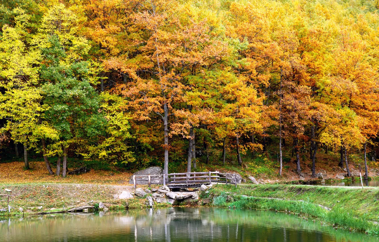 Фото обои осень, деревья, пейзаж, мост, природа, озеро, Landscape, trees