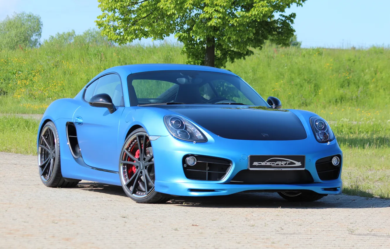 Фото обои Porsche, Cayman, Speed, art, 981 S