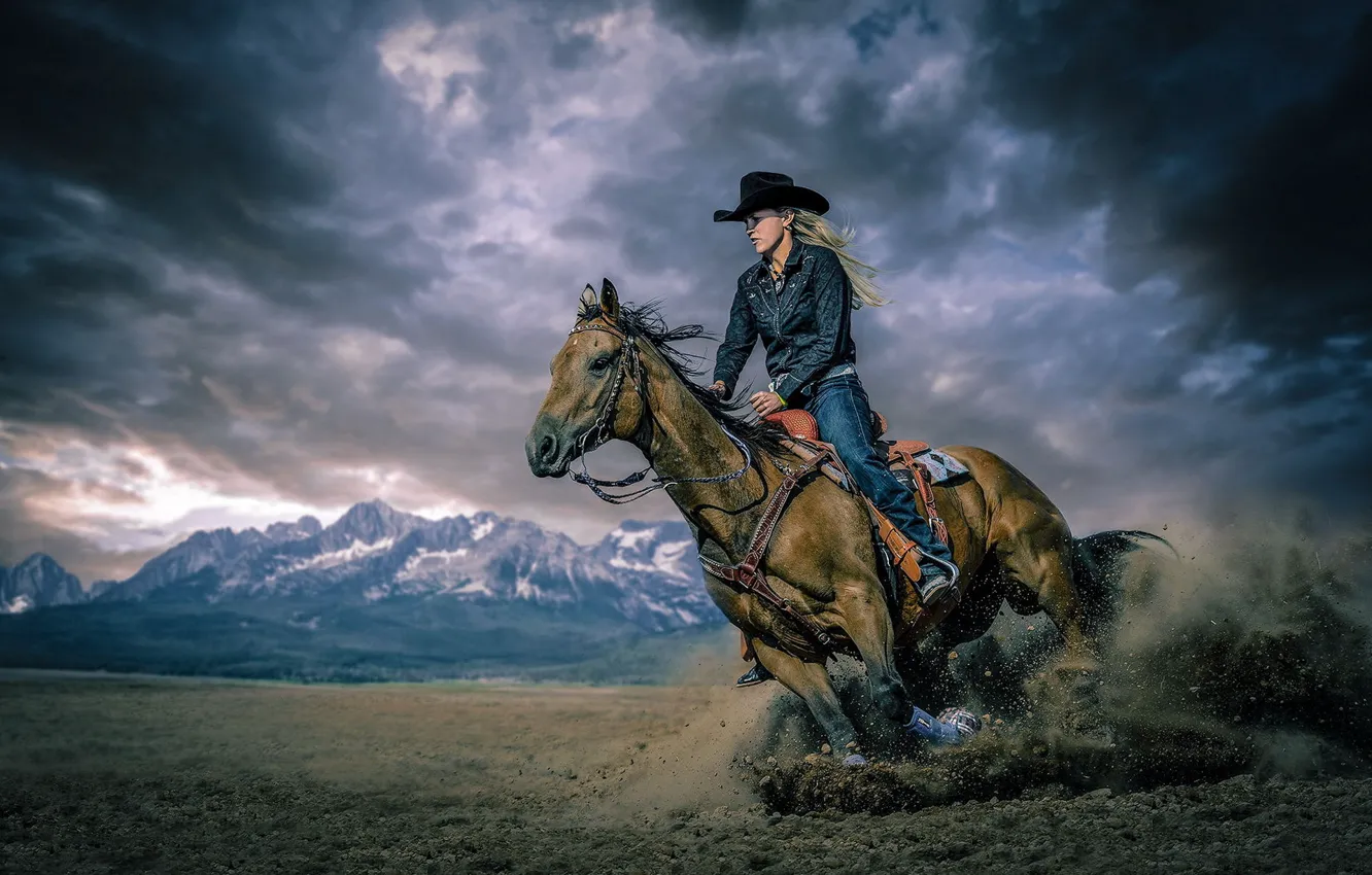 Фото обои лошадь, Miss Idaho Rodeo, Erica Greenwood
