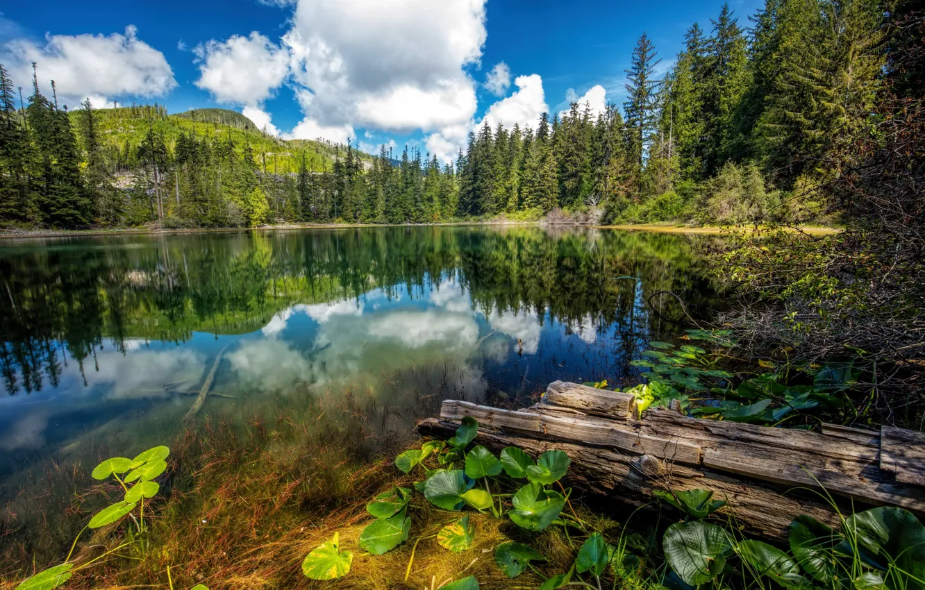 Фото обои Природа, Облака, Озеро, Лес, Канада, Ель, Пейзаж, Hadikin Lake