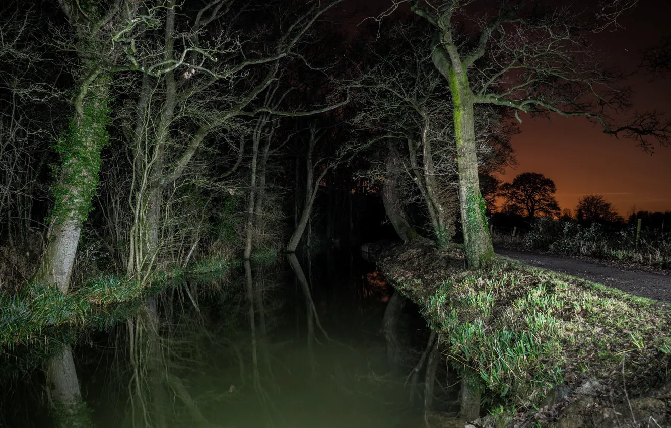 Фото обои дорога, деревья, ночь