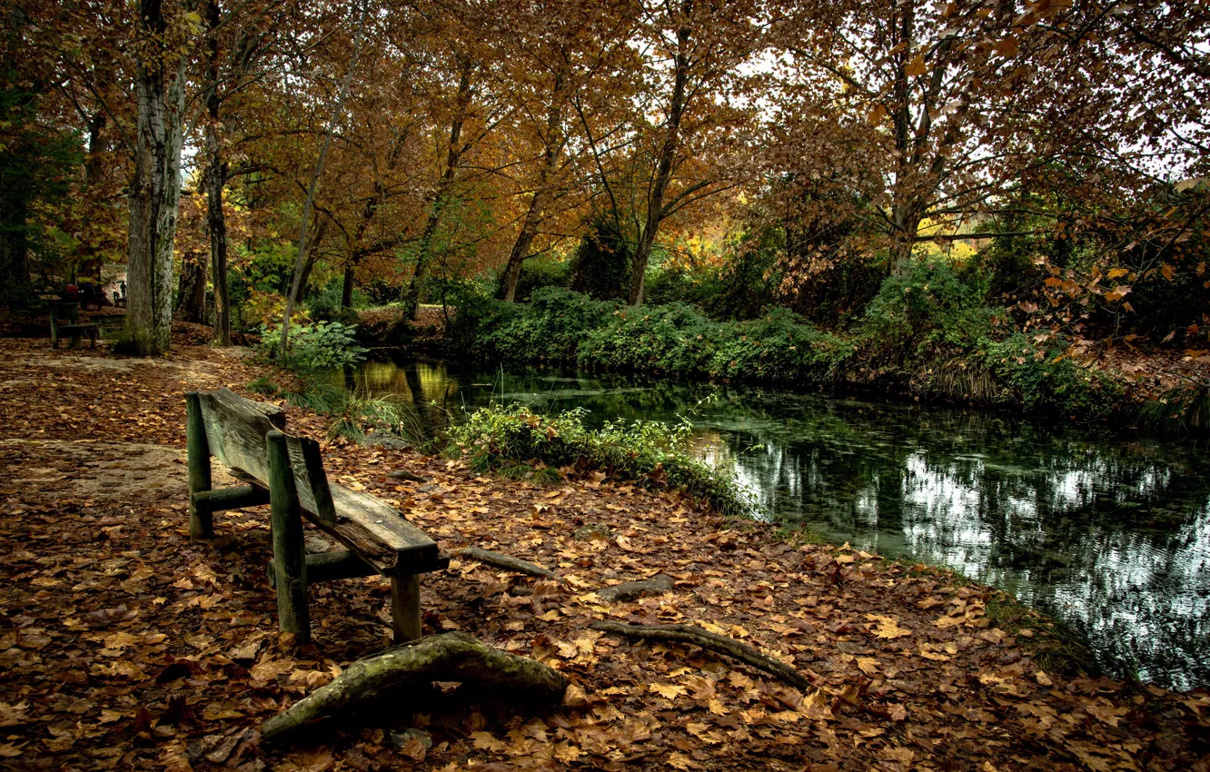Фото обои осень, парк, река, скамья