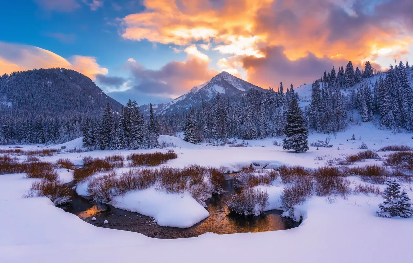 Фото обои зима, снег, горы, ручей, США, штат Юта