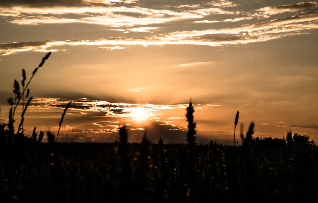 Фото обои Clouds, Sky, Beautiful, Sun, Sunset, Evening, Summer, View