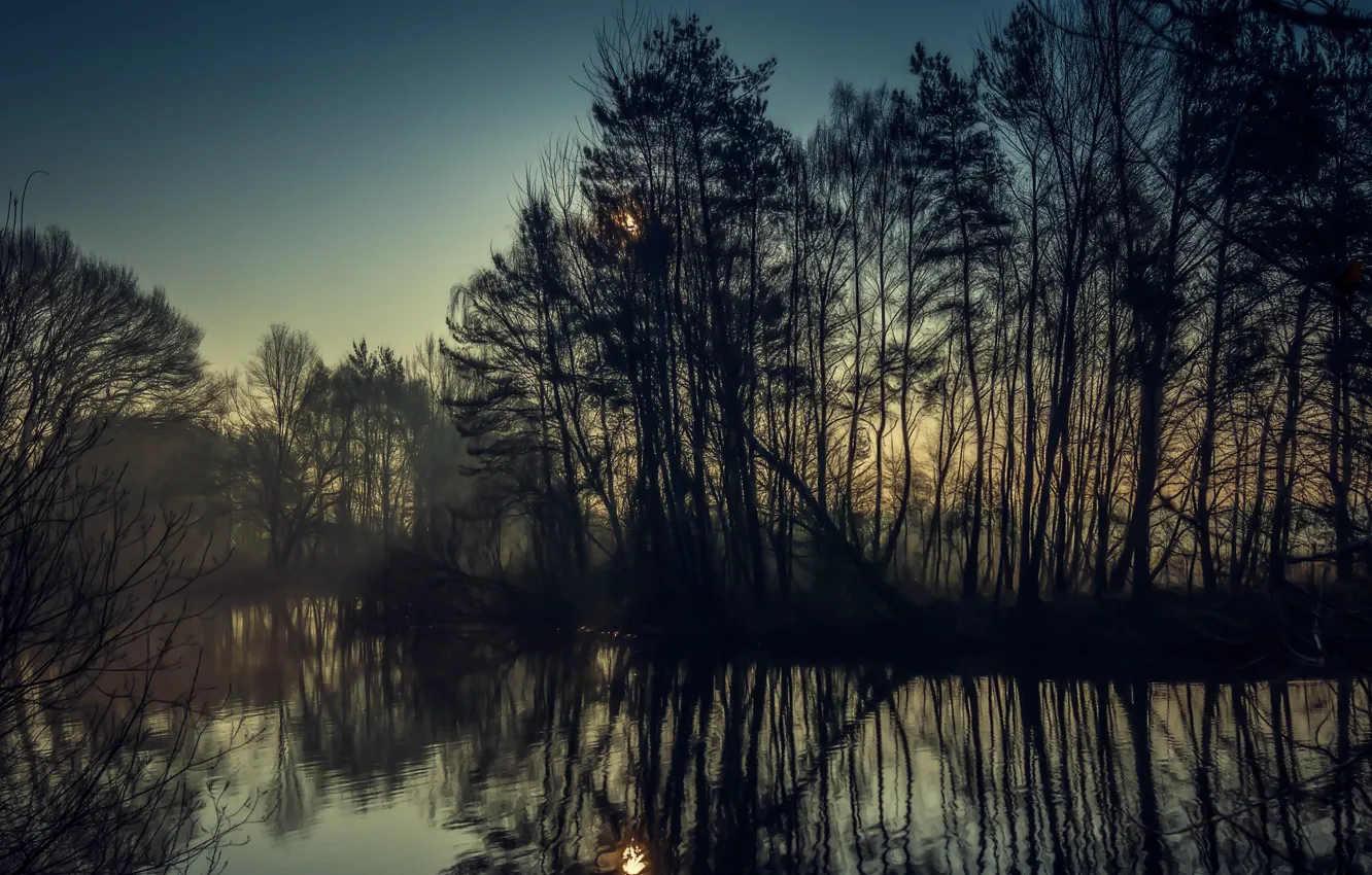 Фото обои деревья, природа, туман, река, beautiful morning view