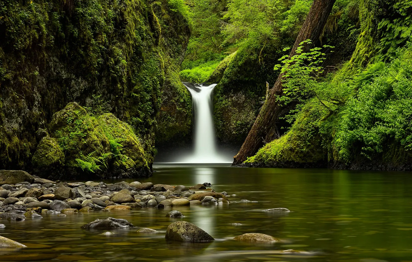 Фото обои камни, берег, растительность, водопад, водоем