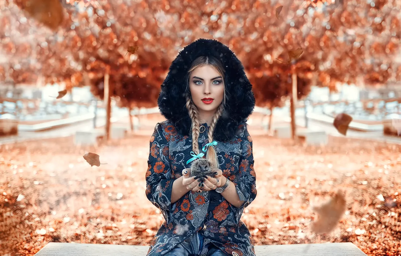 Фото обои осень, девушка, листопад, ёжик, Alessandro Di Cicco