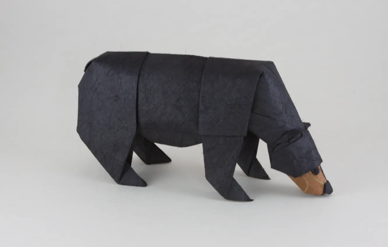 Фото обои медведь, bear, оригами, нюхает, origami, Black Bear, Черный медведь, Sniffing