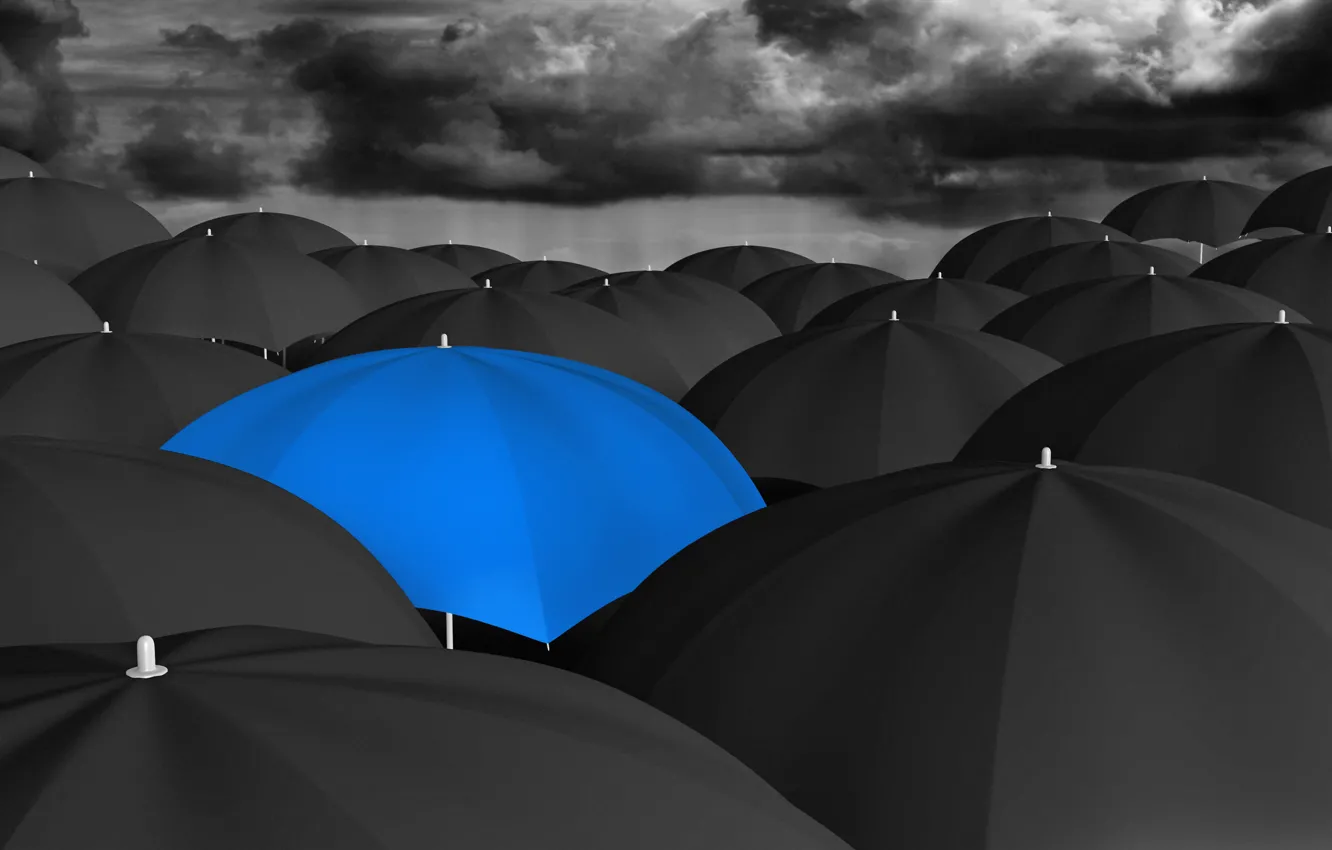 Фото обои black, umbrella, blue, many