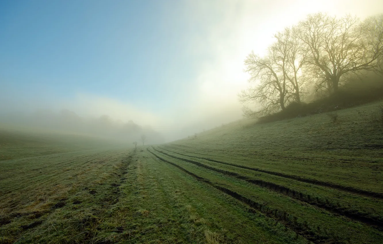Фото обои поле, пейзаж, туман, утро