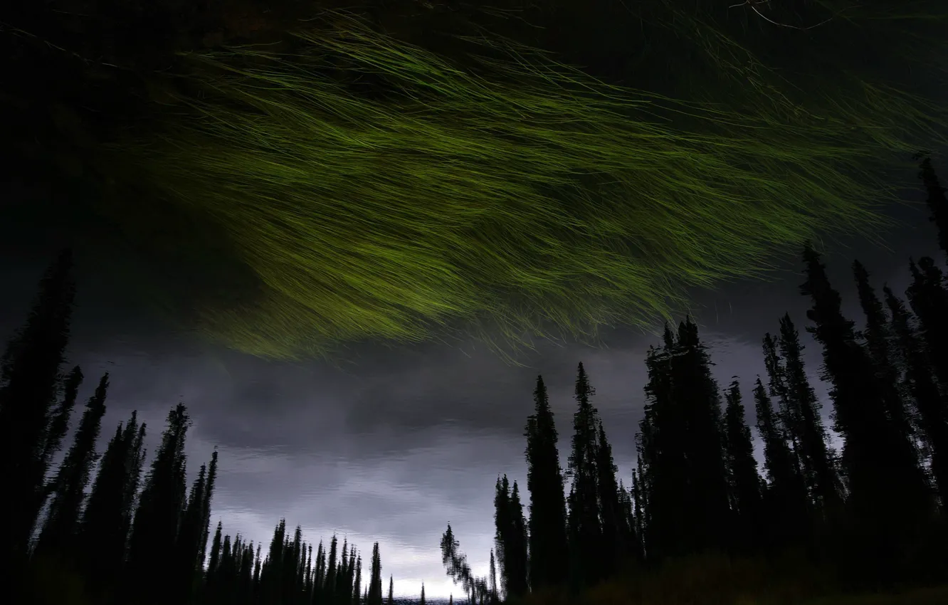 Фото обои вода, природа, отражение