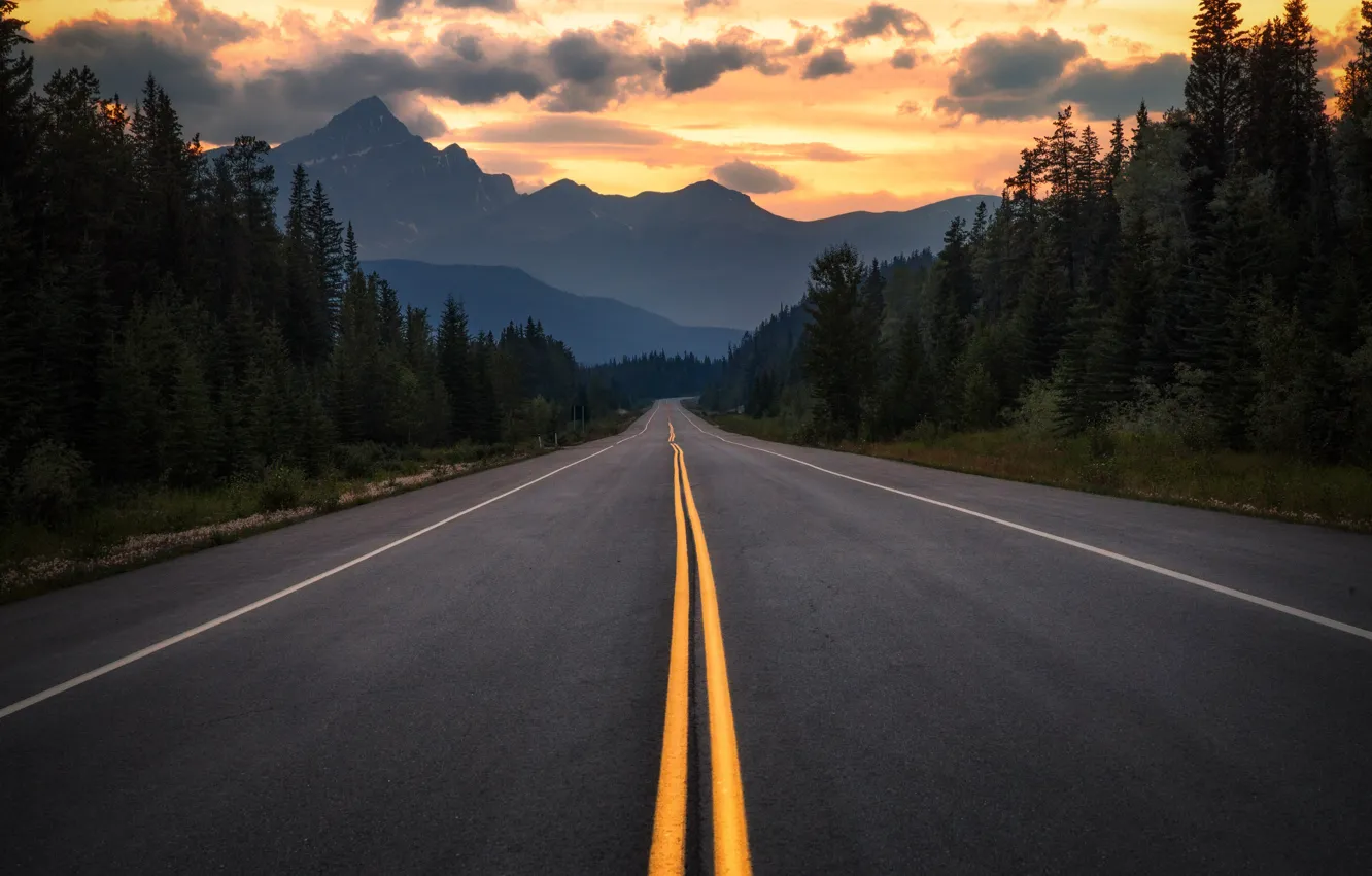 Фото обои дорога, лес, горы, вечер, Канада, Альберта