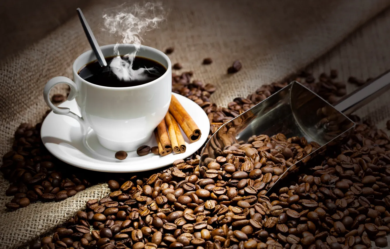 Фото обои кофе, горячий, зерна, ложка, чашка, напиток, корица, блюдце