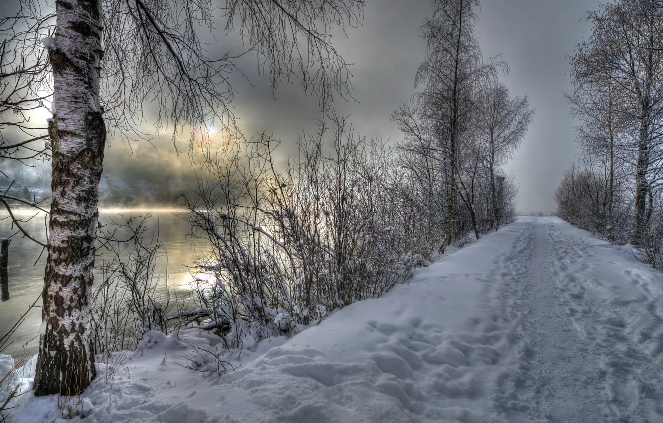 Фото обои зима, снег, река, берёза