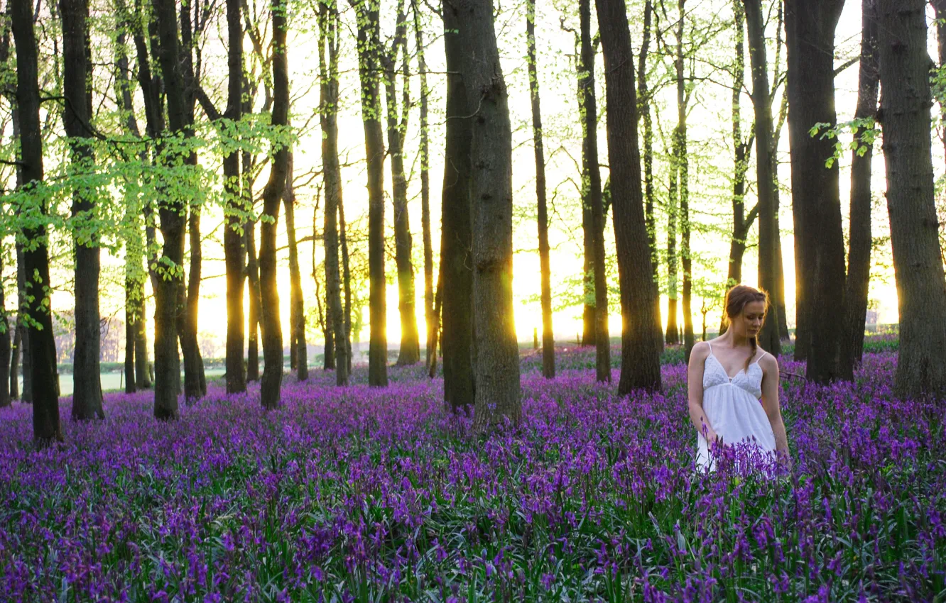 Фото обои девушка, цветы, природа, утро, The carpets of bluebells