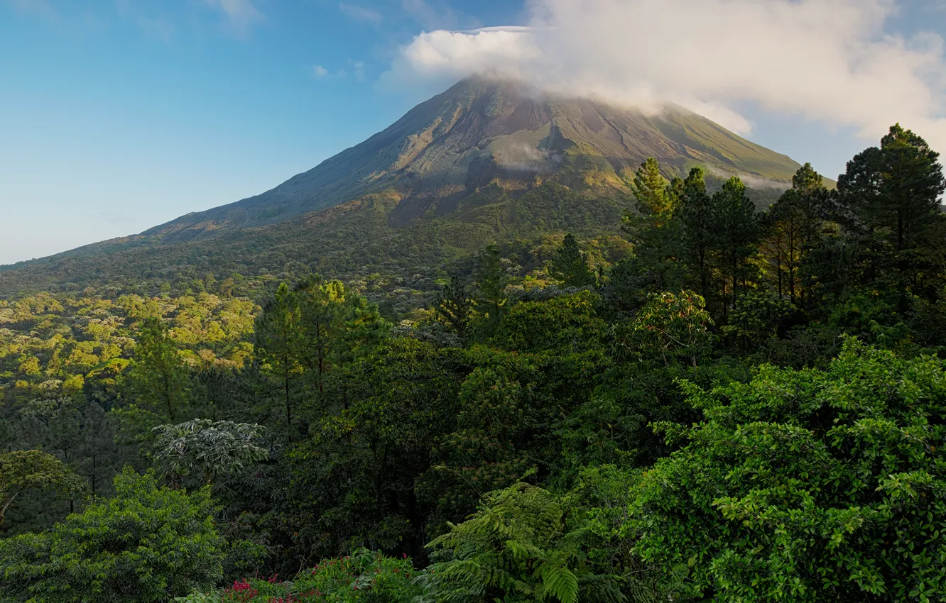 Фото обои forest, trees, clouds, mountain, Volcano