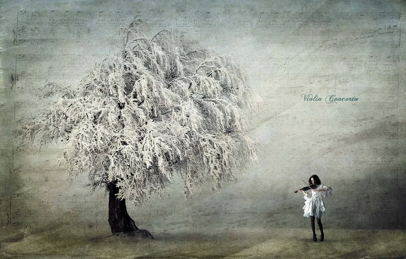 Фото обои ноты, дерево, скрипка, серое