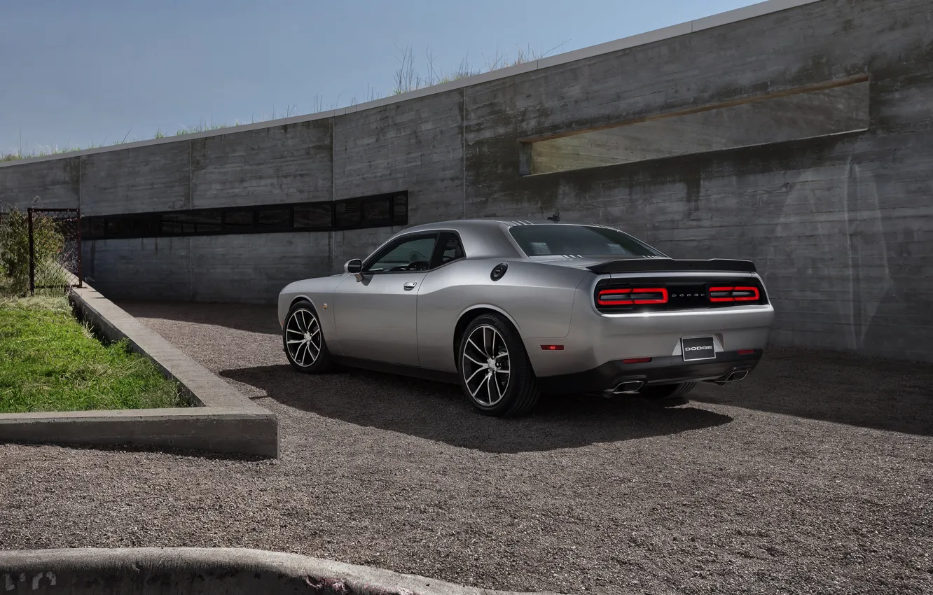 Фото обои Dodge, Challenger, Muscle Car, R/T 2015