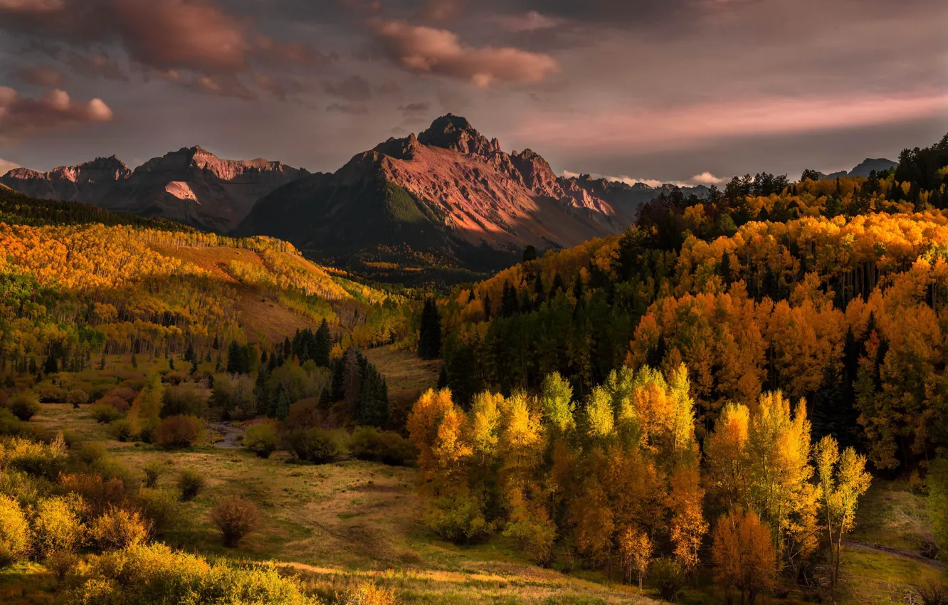 Фото обои осень, лес, свет, деревья, горы, тучи, холмы, вид