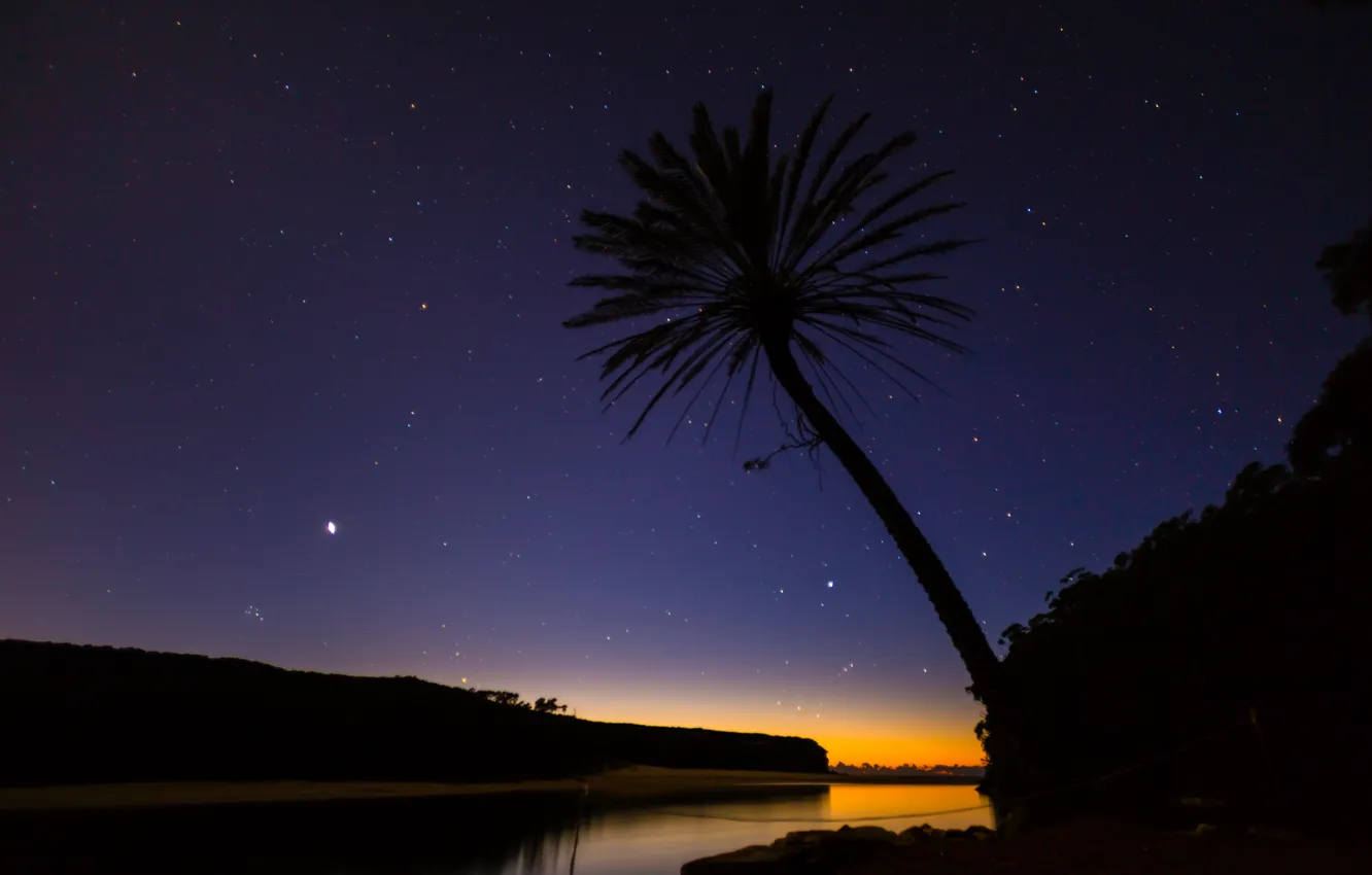 Фото обои пляж, звезды, пальма, дерево, вечер, Австрия, национальный парк