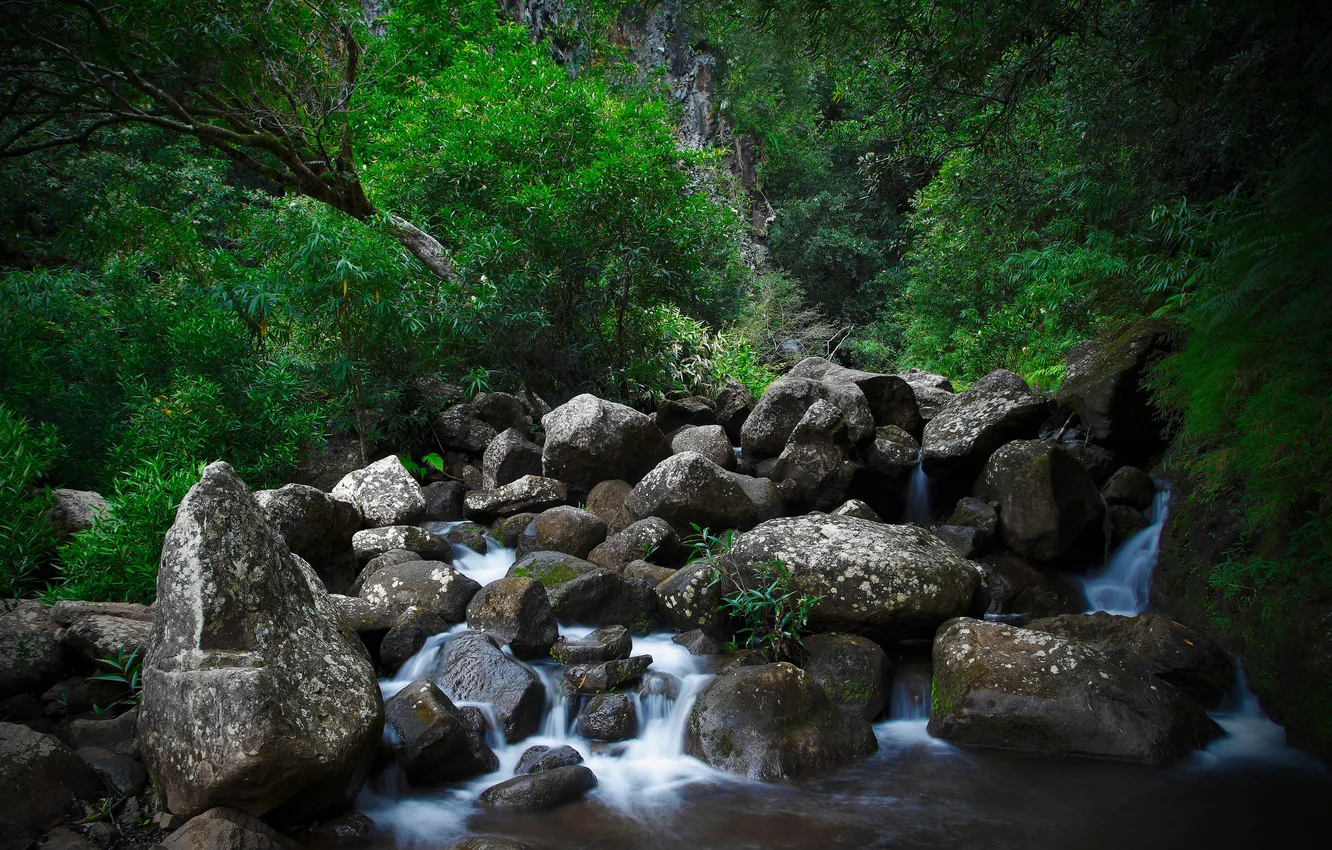 Фото обои вода, природа, ручей, камни, водопад