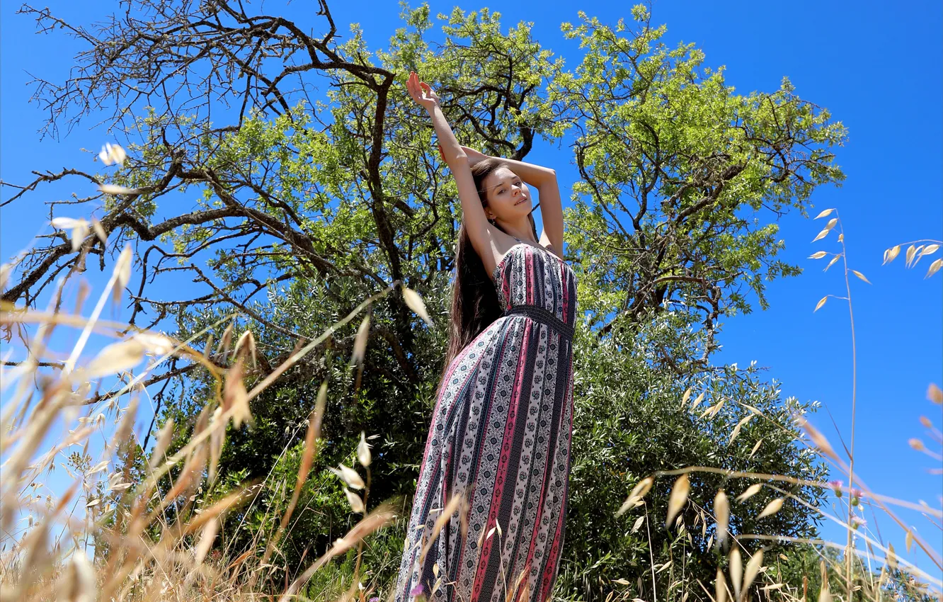 Фото обои grass, sky, hot girl, field, nature, tree, model, Portugal
