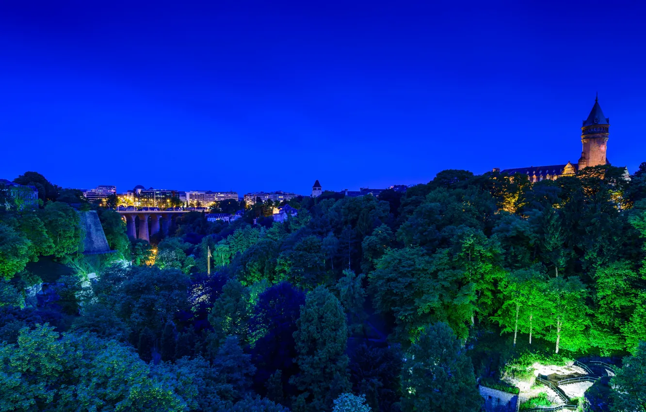 Фото обои деревья, ночь, мост, огни, замок, дома, панорама, Люксембург