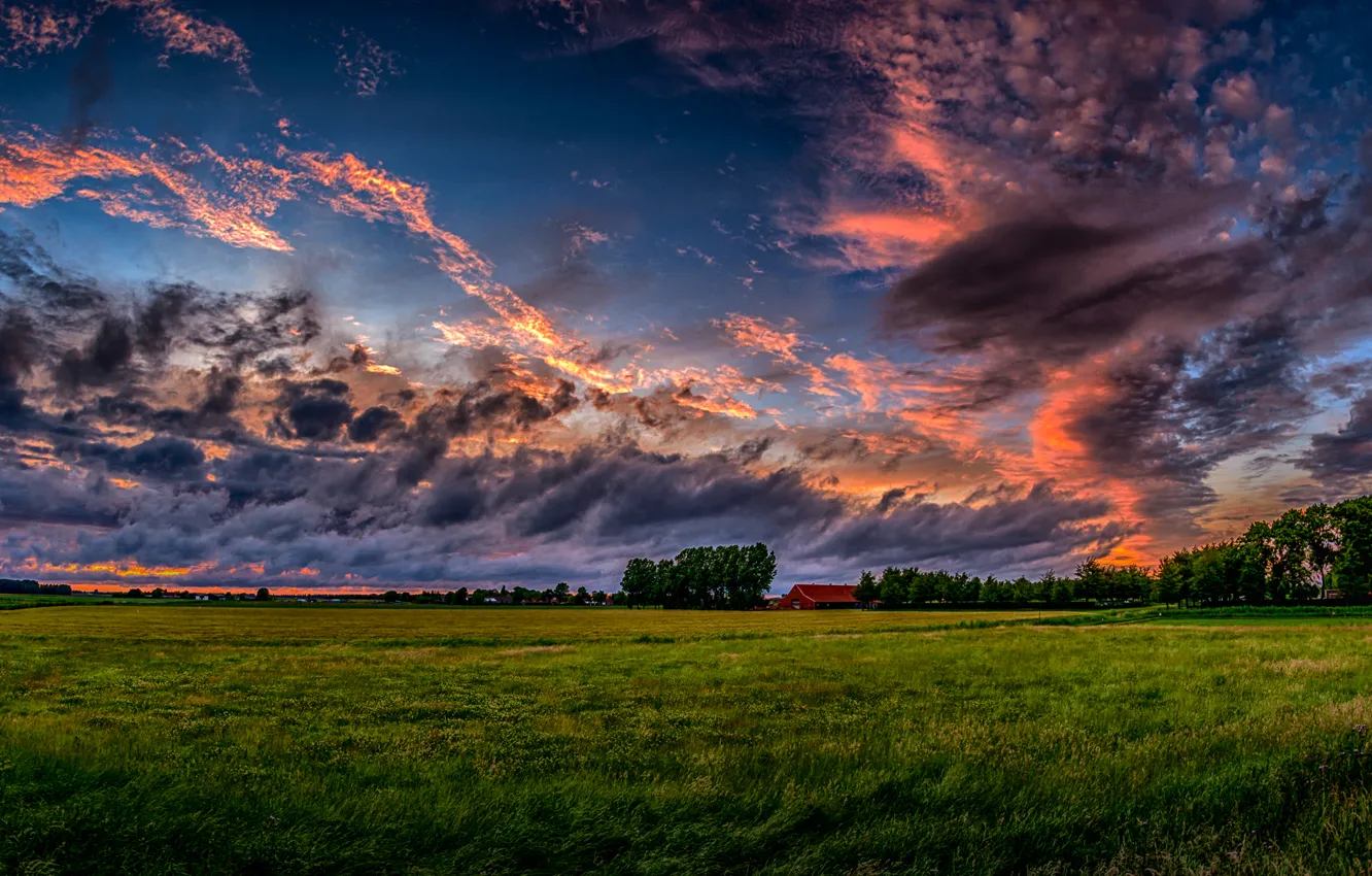 Фото обои поле, небо, трава, облака, деревья, закат, дом, Нидерланды