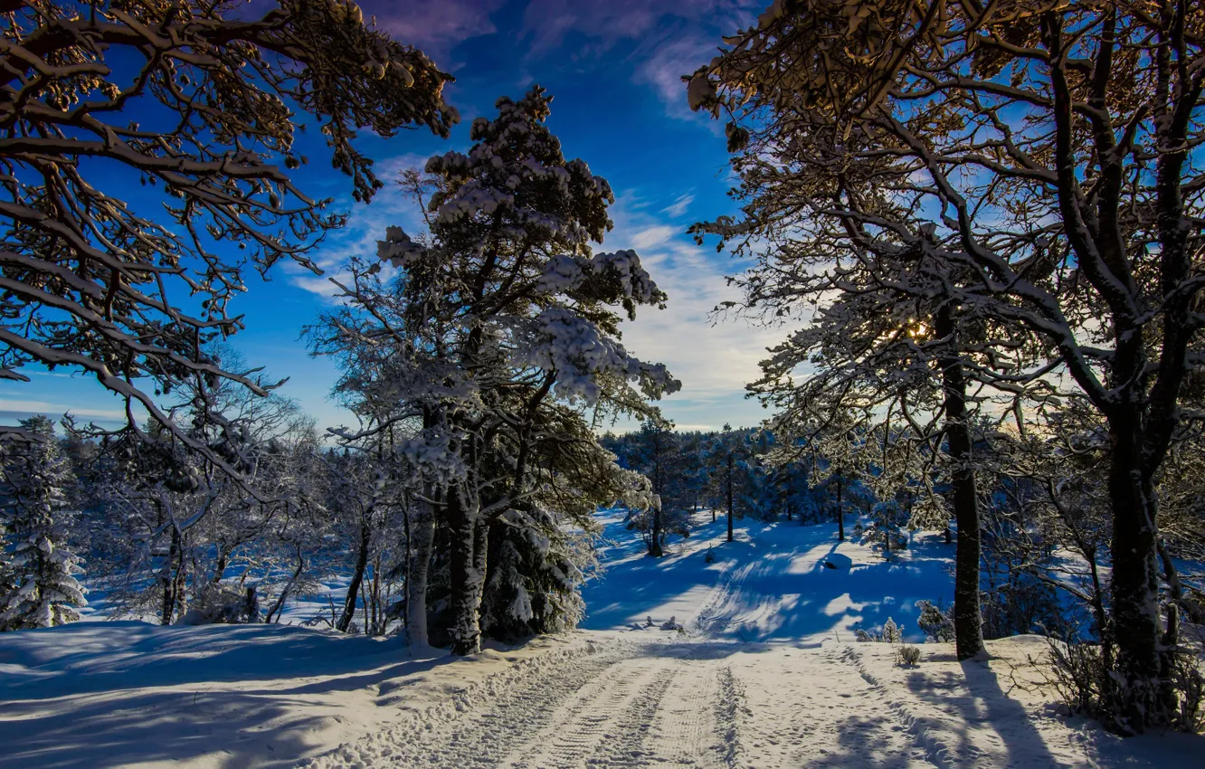 Фото обои зима, солнце, Норвегия, Winter Wonder Land