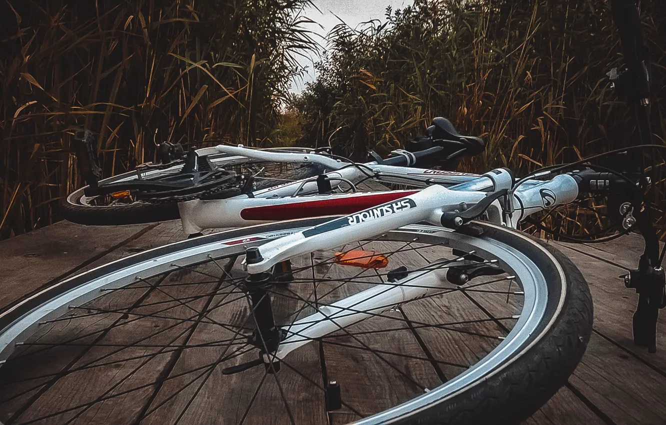 Фото обои спорт, sport, bicycle, bike, вело