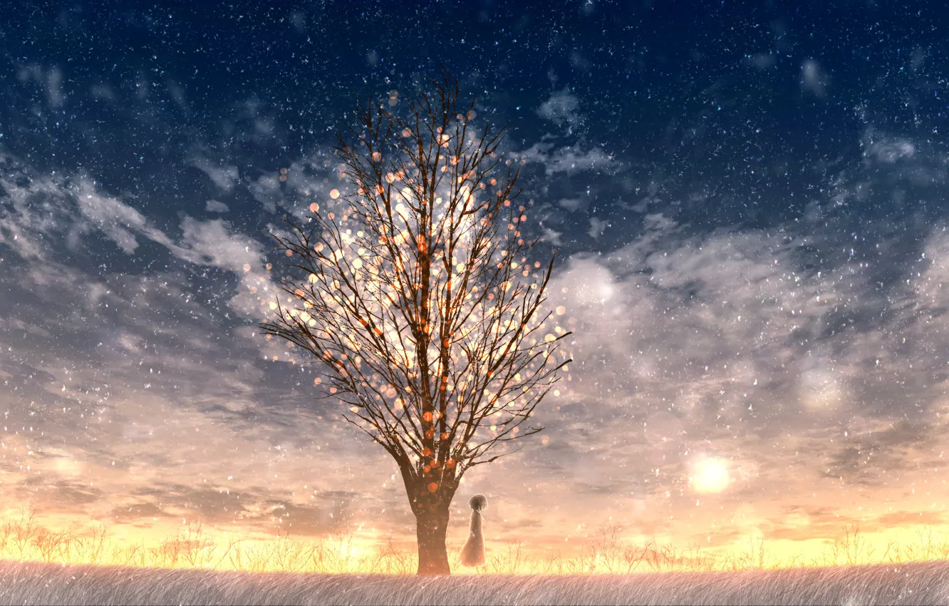 Фото обои снег, закат, дерево, девочка
